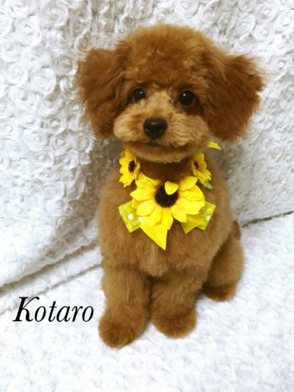 Processed with MOLDIV