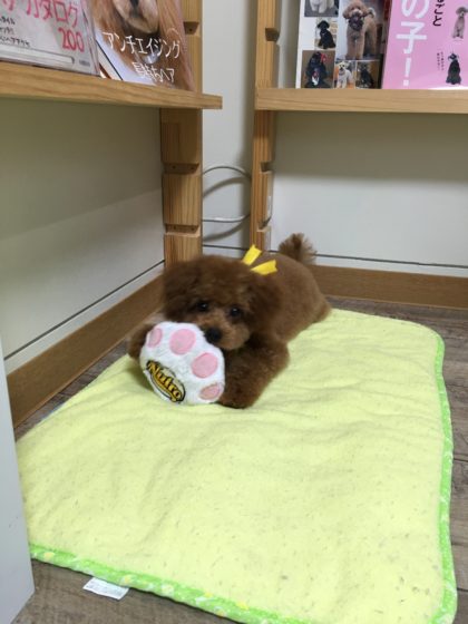 2016-07-15 17.23.41-1