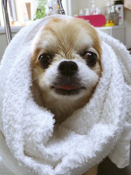 Processed with MOLDIV