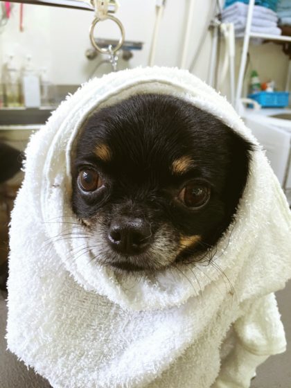 Processed with MOLDIV