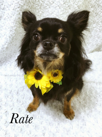 Processed with MOLDIV