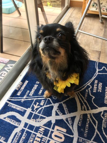 2016-07-19 11.58.26 HDR