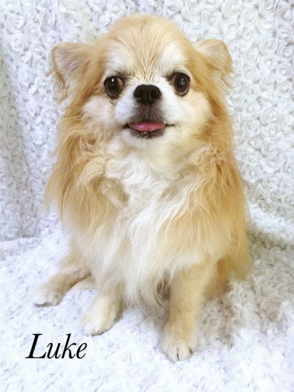 Processed with MOLDIV