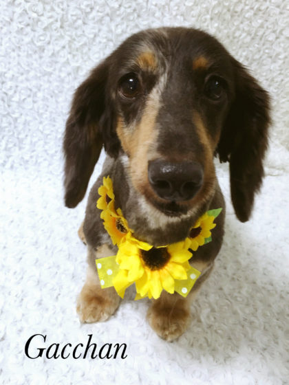 Processed with MOLDIV