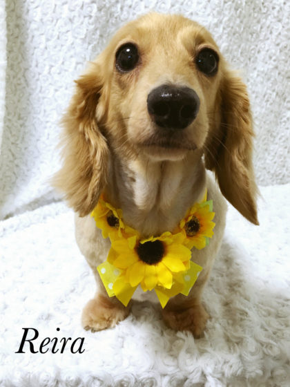 Processed with MOLDIV