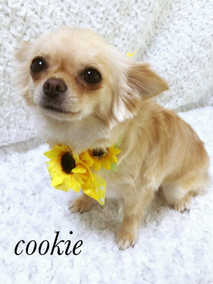 Processed with MOLDIV