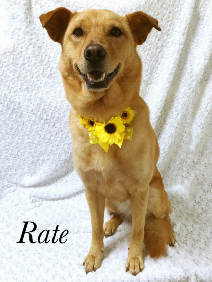 2016-07-22 16.04.05-1