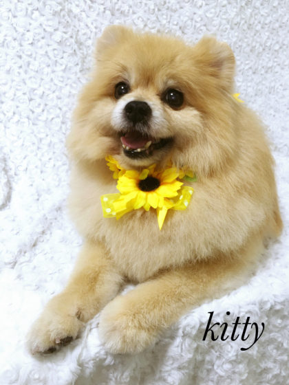 Processed with MOLDIV