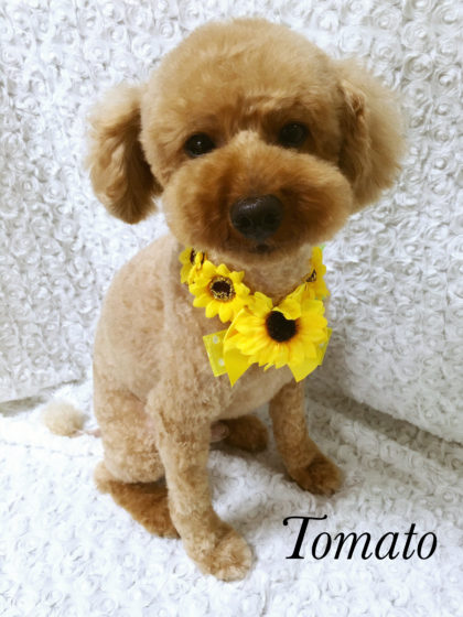 Processed with MOLDIV