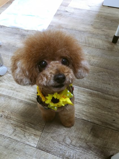 Processed with MOLDIV