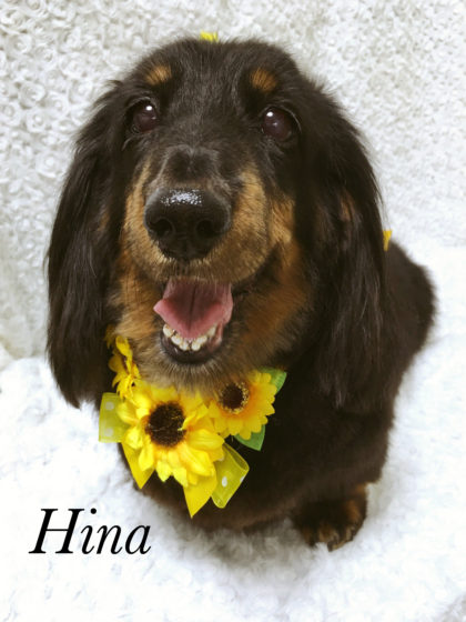 2016-07-26 15.56.49-1