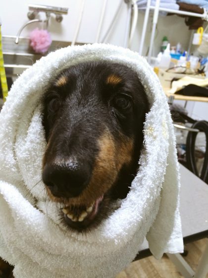 Processed with MOLDIV