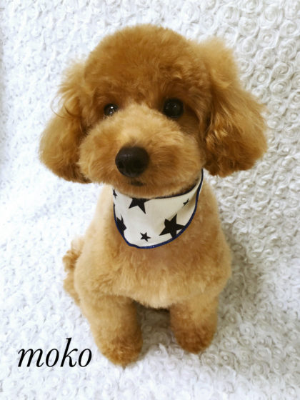 Processed with MOLDIV