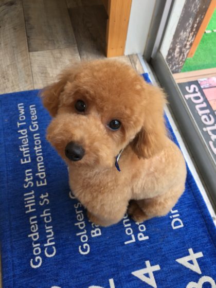 2016-07-27 11.51.35 HDR