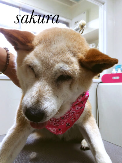 Processed with MOLDIV