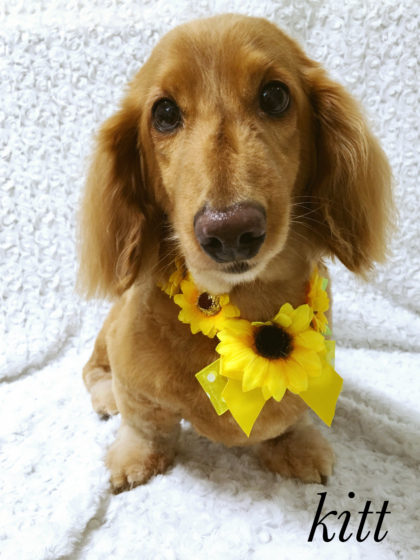 Processed with MOLDIV