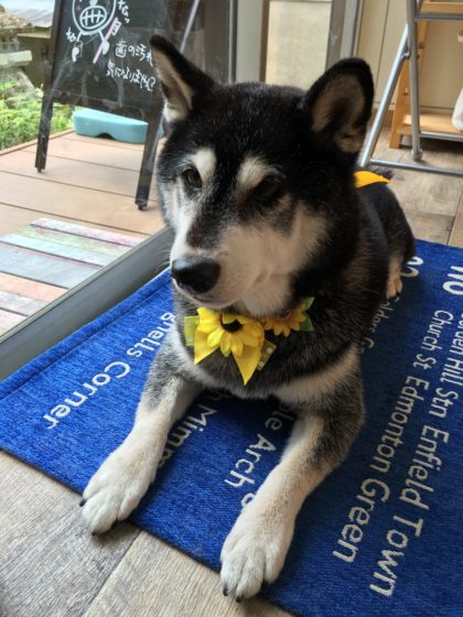 2016-07-28 12.07.07 HDR