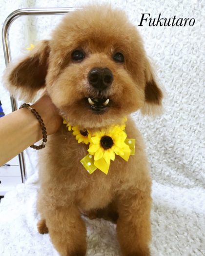 Processed with MOLDIV