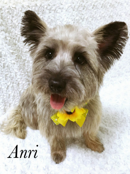 2016-07-29 16.13.52-4