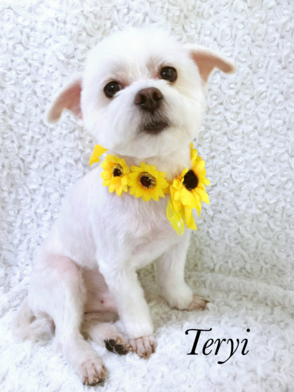 Processed with MOLDIV