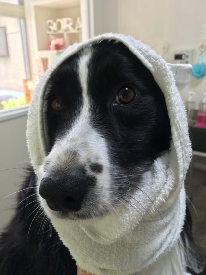 2016-08-01 09.51.30 HDR