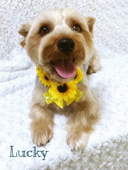 Processed with MOLDIV