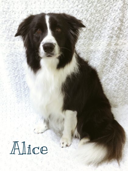 2016-08-01 13.42.17-2