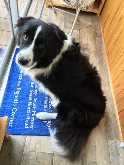 2016-08-01 13.53.16 HDR