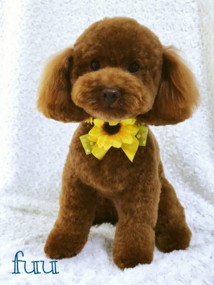 Processed with MOLDIV