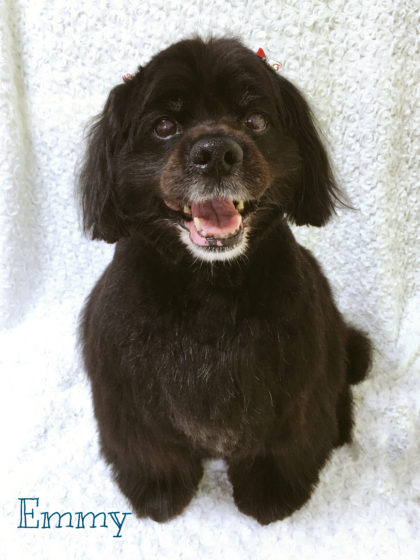 2016-08-03 13.54.56-1