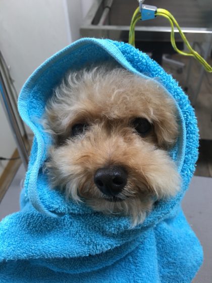 2016-08-03 16.27.33-1