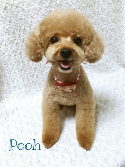 Processed with MOLDIV