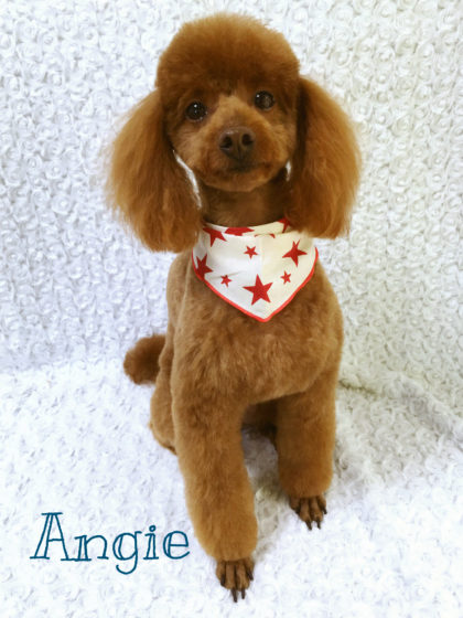 Processed with MOLDIV