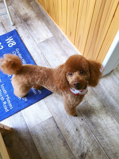 Processed with MOLDIV