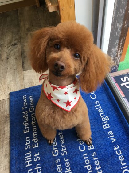 2016-08-04 14.14.25-1