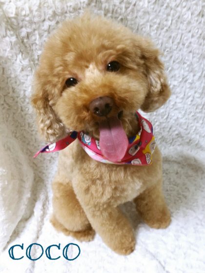 2016-08-04 18.01.55-2