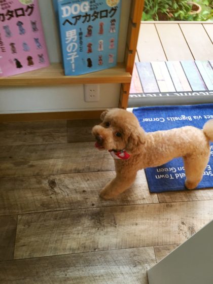 Processed with MOLDIV