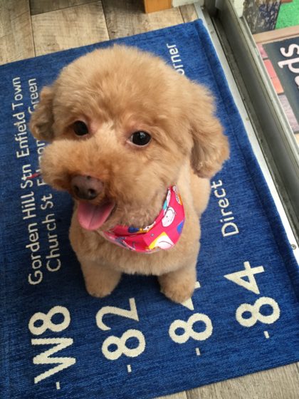 Processed with MOLDIV