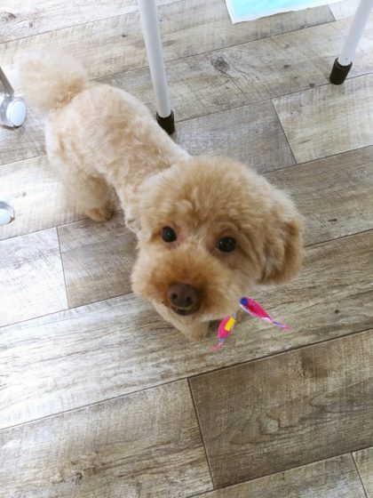 Processed with MOLDIV