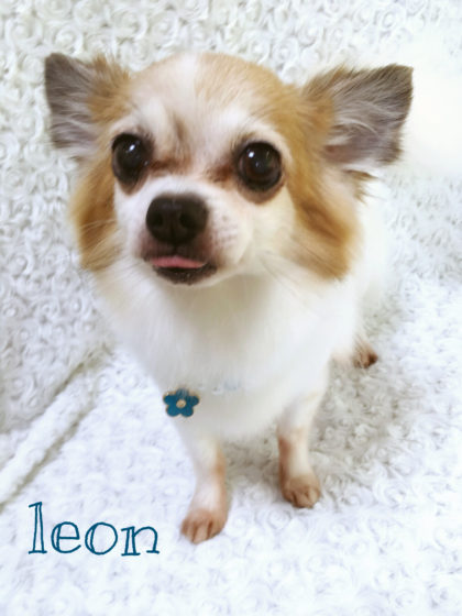 Processed with MOLDIV