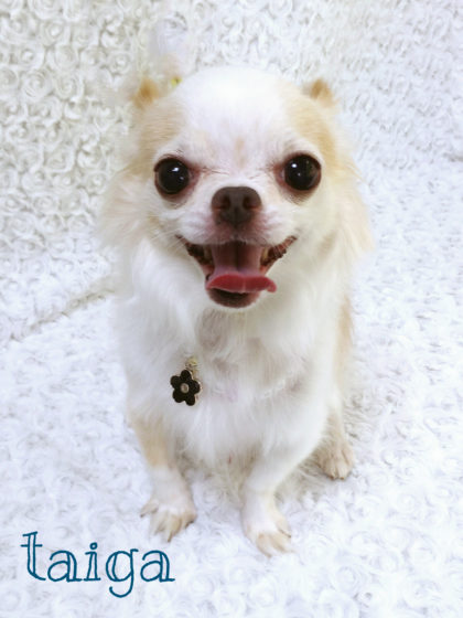 2016-08-05 13.03.48-5