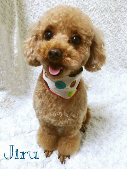 2016-08-05 17.55.58-3