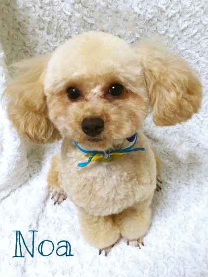 2016-08-05 17.58.21-5