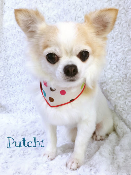 Processed with MOLDIV