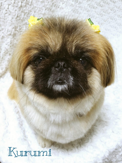 Processed with MOLDIV