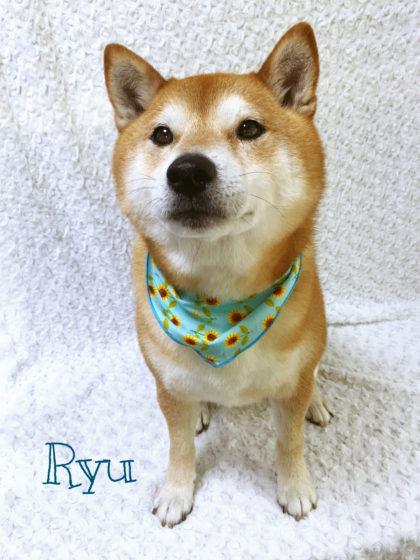 Processed with MOLDIV