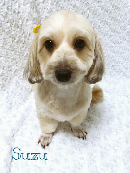 Processed with MOLDIV