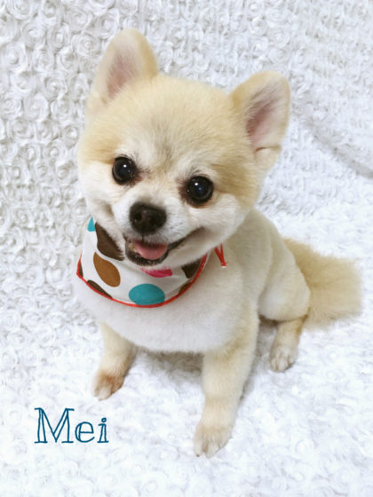 Processed with MOLDIV