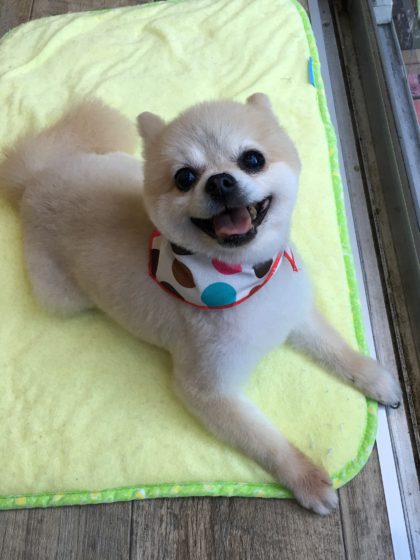 Processed with MOLDIV