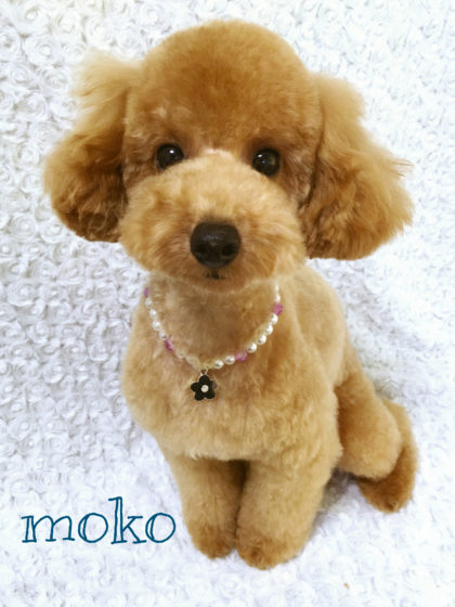 Processed with MOLDIV